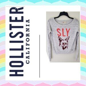 Sly Fox Sweater by Hollister Sz M